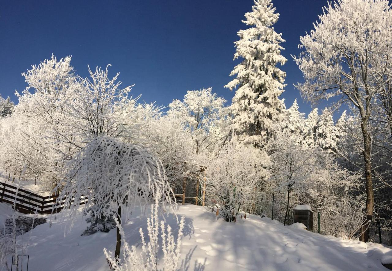 Villa Bukowy Zdroj Krynica-Zdrój Esterno foto